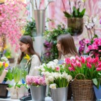 Flower Shop Manly: Gorgeous Arrangements for Any Occasion