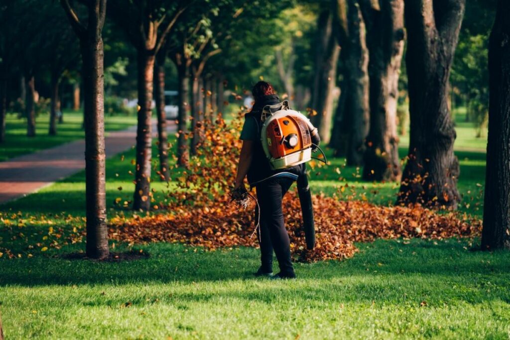 tree removal sydney