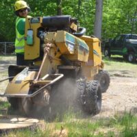 The Benefits of Hiring Experts for Stump Grinding in Sydney