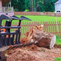 Find the Best Stump Grinding Near Me: Sydney’s Top Services