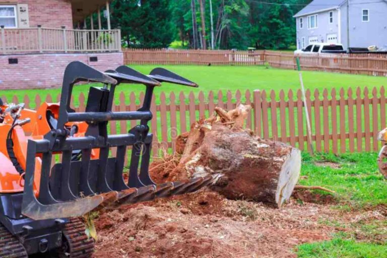 Find the Best Stump Grinding Near Me: Sydney’s Top Services