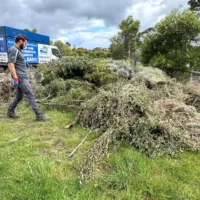 Best Ways for Firewood Storage: Indoors vs. Outdoors (A Comparative Guide)
