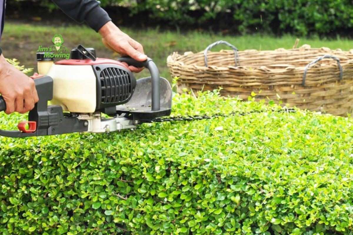 Why Landscapers Recommend Landscape Hedge Trimming Services