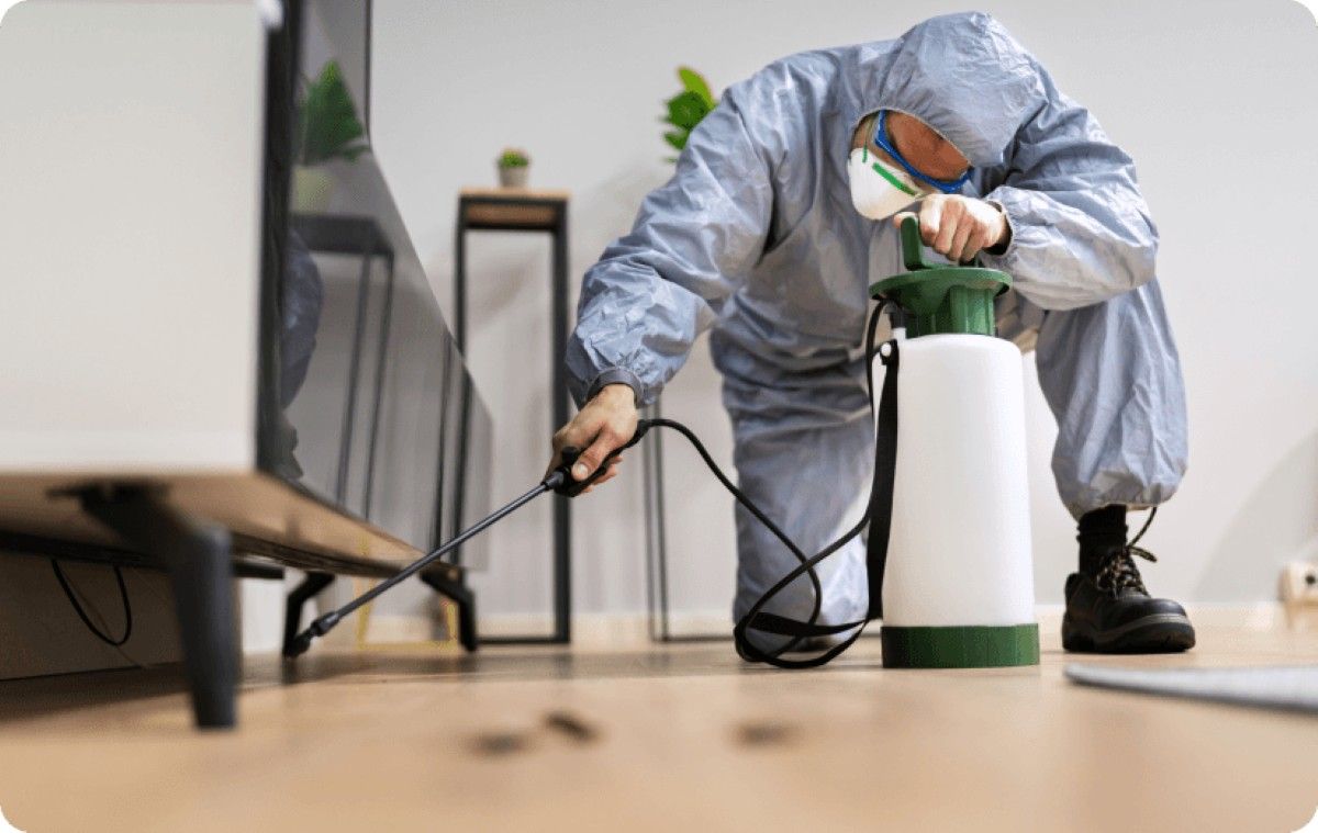 When Should You Call a Termite Specialist? 6 Early Warning Signs