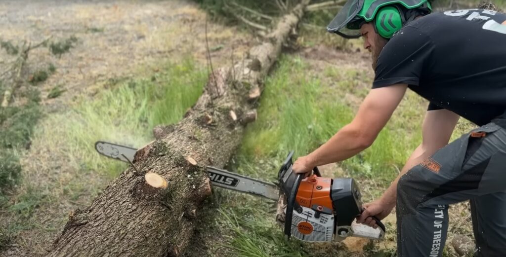 Tree Trimming Services: Professional Care and Health Maintenance for Your Trees

